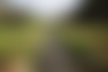 COMISIÓN DE REGANTES SURCO INTEGRA LAS COMISIÓNES AMBIENTALES MUNICIPALES DE ATE Y SURCO