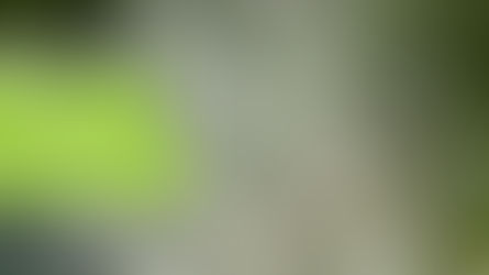 Riego de Parque de los Anillos