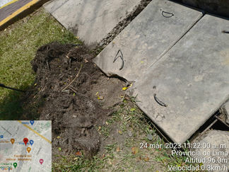 Limpieza de sedimentos