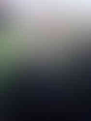 aguas negras de sedapal