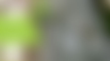 Riego Parque de los Anillos