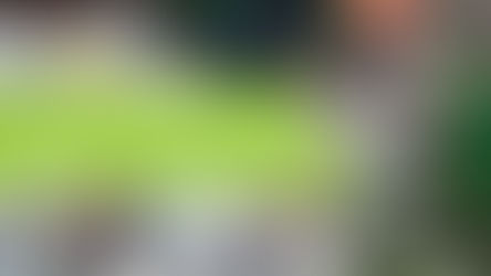 Trabajo de emergencia Canal Surco - Santa Anita