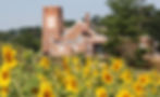 Church and Sunflowers_edited_edited.jpg