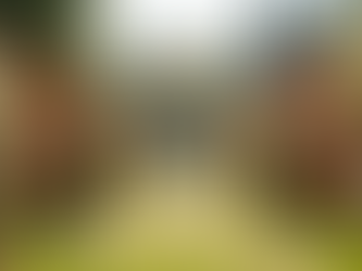 Your Ultimate Guide to Wedding Planning Outdoors