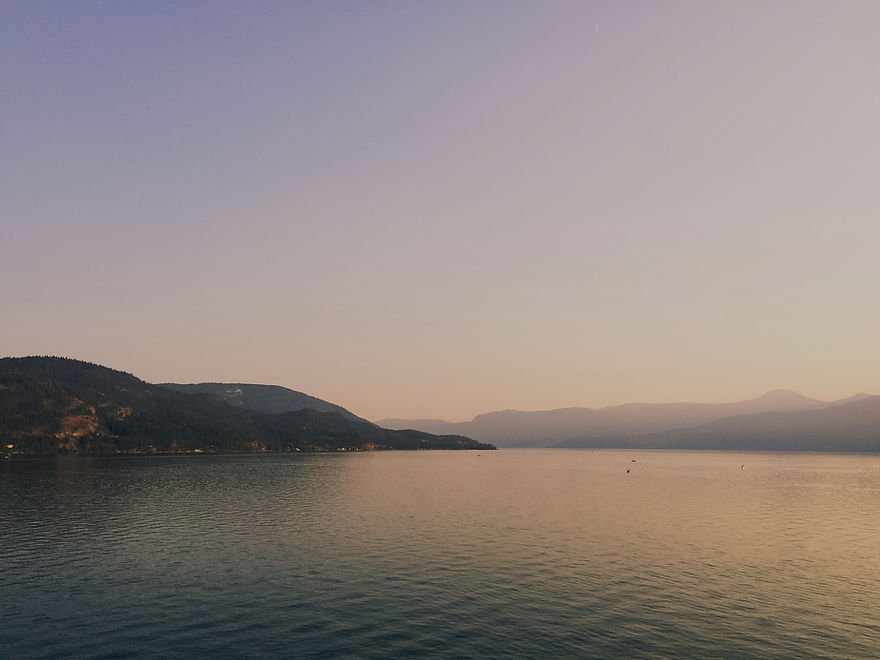 chelsea-chehade-AuRKEkFTB8s-unsplash_edited.jpg