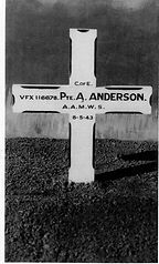 Anne Anderson 5.jpeg