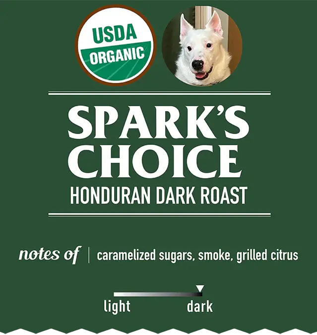 Spark's Choice