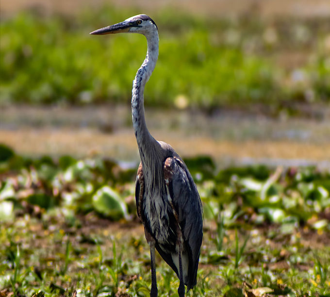 IMG_4841.jpg