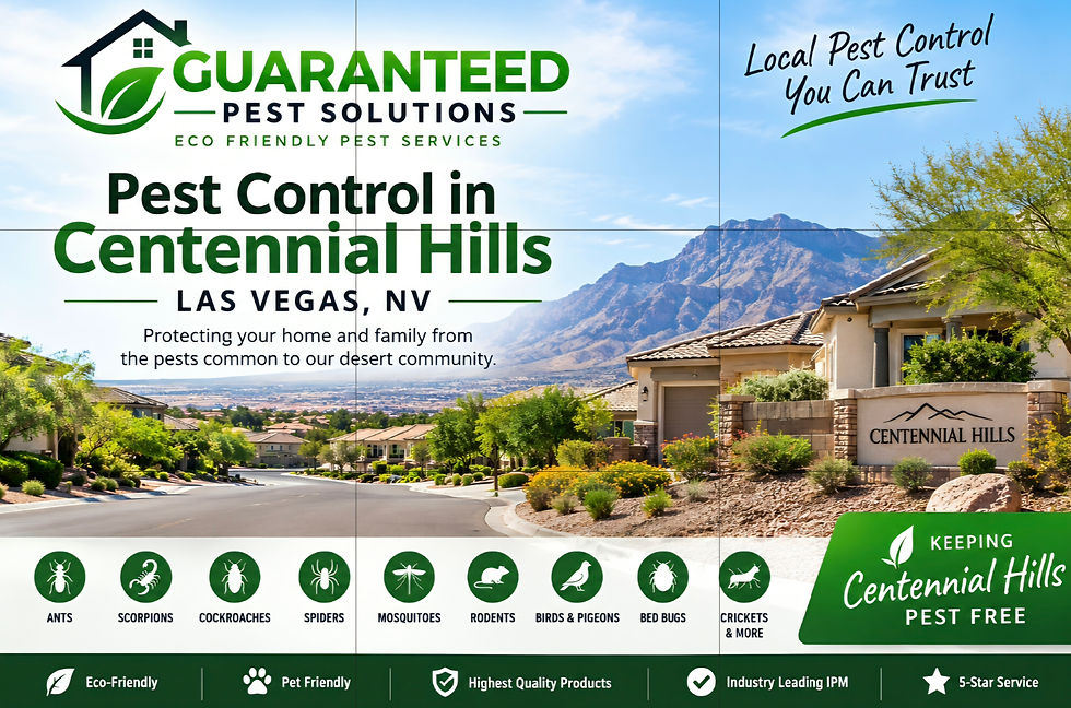 Pest Control in Centennial Hills, Las Vegas, NV: Protecting Your Home From Common Las Vegas Pests