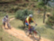 IMG_B35681154851-1.jpeg