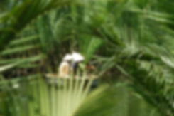 IMG_FFB7AE73E8EC-1.jpeg