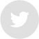 Twitter - Grey Circle