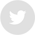 Twitter - Grey Circle