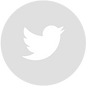 Twitter - Grey Circle