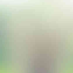 LiZ-e - Droogbloemen - Vlas - Linum Usitatissimum - Ijsgroen - Doopsuiker - Huwelijk - Communie - Verjaardag - Lentefeest