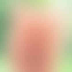 LiZ-e - Droogbloemen - Vlas - Linum Usitatissimum - Poederroos - Doopsuiker - Huwelijk - Communie - Verjaardag - Lentefeest