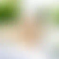 LiZ-e - Houten tafelnummer met Rozen - Huwelijk - Bruiloft - Trouw - Tafeldecoratie - Plaatsing - Hout - Laser - Origineel