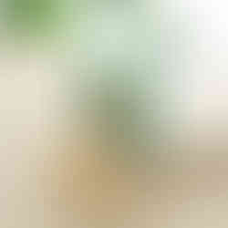 LiZ-e Design - Geurkaars 'you are fire' - Cadeau - Geschenk - Origineel - Inspiratie - Moederdag - Ontspannen