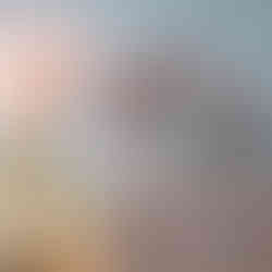 LiZ-e - Flowerhoop - Metalen hoepel met naam in hout met droogbloemen - Doopsuiker - Presentatie - Geboorte - Naamhoepel