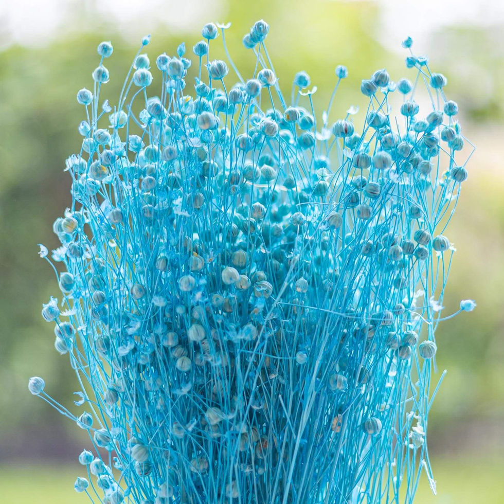 LiZ-e - Droogbloemen - Vlas - Linum Usitatissimum - Aquamarine - Doopsuiker - Huwelijk - Communie - Verjaardag - Lentefeest