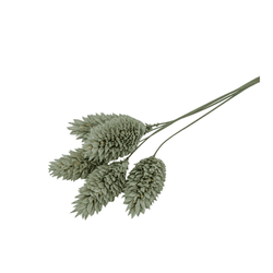 LiZ-e - Droogbloemen - Kanariezaad - Phalaris Canariensis - Ijsgroen - Doopsuiker - Huwelijk - Communie - Verjaardag
