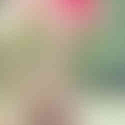 LiZ-e - Regenboogpotlood voor jouw doopsuikerconcept, huwelijk, communie of lentefeest bedanking