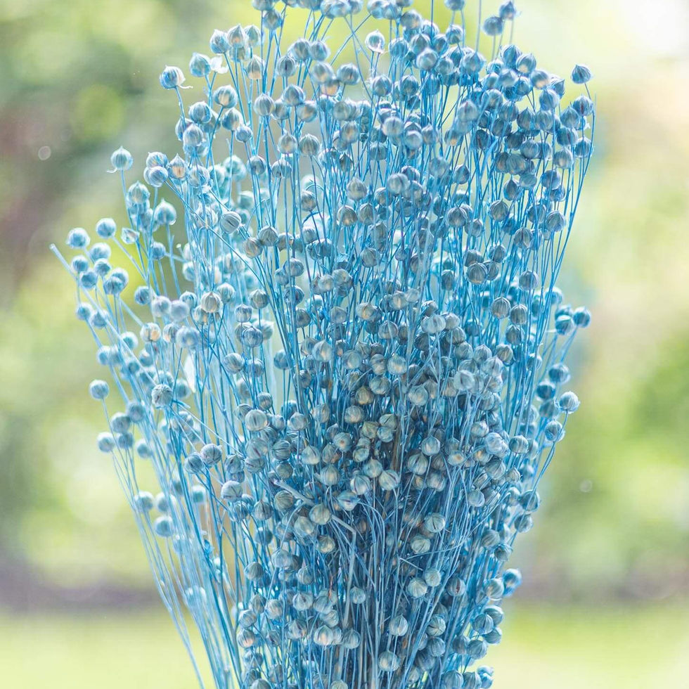 LiZ-e - Droogbloemen - Vlas - Linum Usitatissimum - Parijs Blauw - Doopsuiker - Huwelijk - Communie - Verjaardag