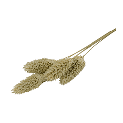 LiZ-e - Droogbloemen - Kanariezaad - Phalaris Canariensis - Naturel - Doopsuiker - Huwelijk - Communie - Verjaardag