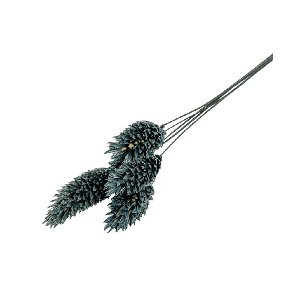LiZ-e - Droogbloemen - Kanariezaad - Phalaris Canariensis - Mosgrijs - Doopsuiker - Huwelijk - Communie - Verjaardag