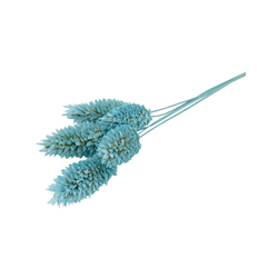 LiZ-e - Droogbloemen - Kanariezaad - Phalaris Canariensis - Aquamarine - Doopsuiker - Huwelijk - Communie - Verjaardag