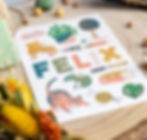 LiZ-e Design - Niel - Geboortekaartje in felle kleuren met hout, een rolschaats, tafeltennis pallet, boeken, monstera, breimateriaal, handzaag, beitel, potlood en een kat - Felix