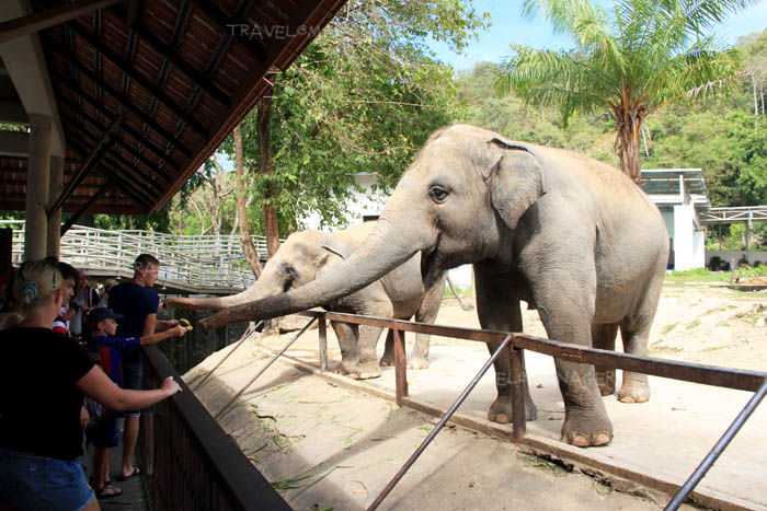 Thumbnail: OD15 KhaoKheow Open Zoo-BangSaen Beach