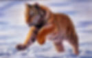 IMG_1170.jpeg