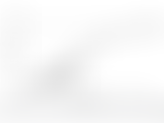 Growth Curve of Amazonian Manatee (Trichechus inunguis) in Captivity