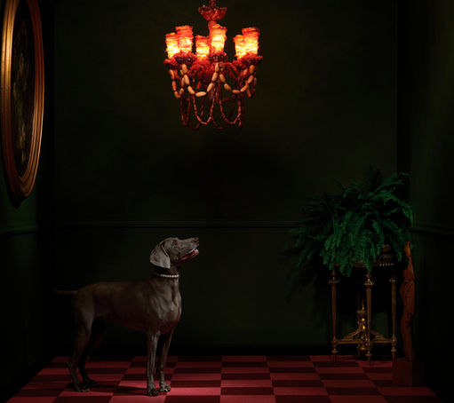 A Weimaraner dog stands on a red-and-black checkered floor, gazing up at an ornate chandelier made of sausages and cured meats, casting a warm glow in a dark, moody room.