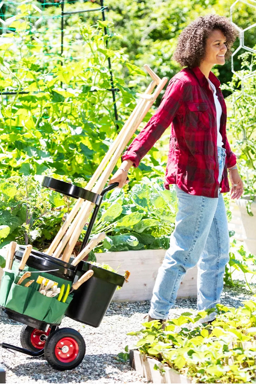الصورة المصغرة: Garden Basket