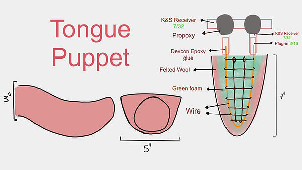 Tongue_techdrawing