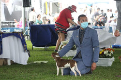 WhatsApp Image 2021-10-20 at 14.07.21 (1)