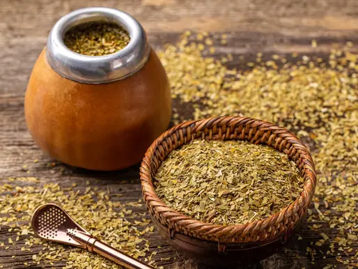 Yerba Mate for Focus and Daily Energy