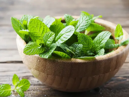 How Peppermint Supports Everyday Digestion