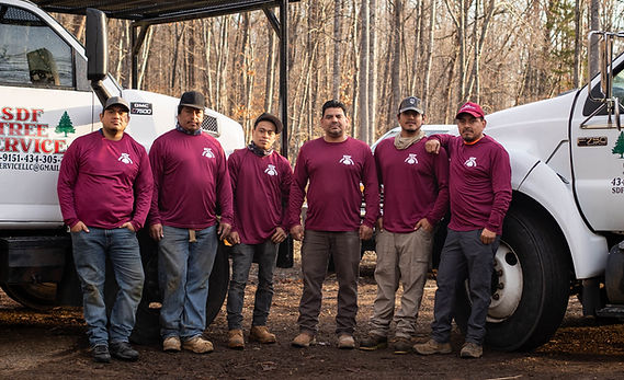SDF Tree Service/Landscaping Services