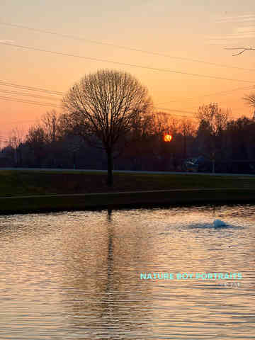 Pondering Sundown at Darden Towe
