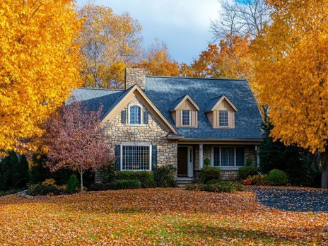 The Impact of Leaves on Your Roofing System