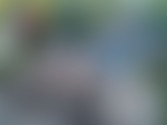 Comprehensive Guide to Roof Tear-Off Costs