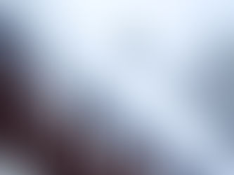 Why Cleaning Your Gutters Before Winter is Essential