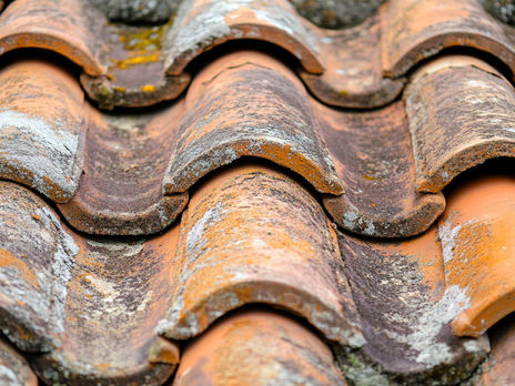 Key Indicators Your Roof Needs Immediate Attention