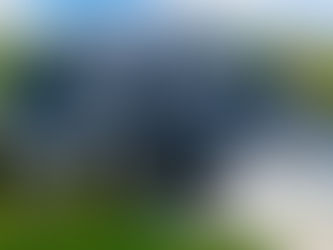 Understanding the Cost of a New Roof: Factors and Insights