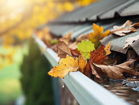 Maximizing Gutter Longevity: The Essential Guide to Protecting Your Home from Tree Damage