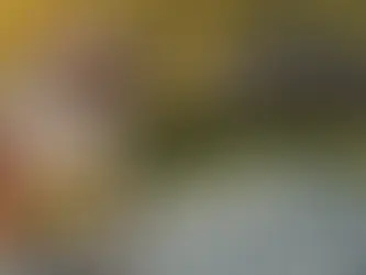 Metal Roof Installation Mistakes That Lead to Premature Failure