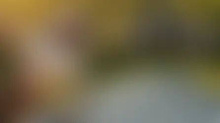 Metal Roof Installation Mistakes That Lead to Premature Failure